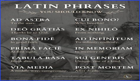 A Profile Of A Latin Beauty